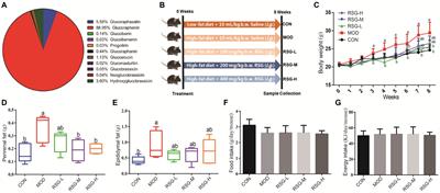 Glucosinolate extract from radish (Raphanus sativus L.) seed attenuates high-fat diet-induced obesity: insights into gut microbiota and fecal metabolites